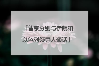 普京分别与伊朗和以色列领导人通话