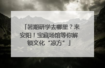 暑期研学去哪里？来安阳！宝藏场馆等你解锁文化“凉方”