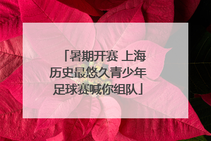 暑期开赛 上海历史最悠久青少年足球赛喊你组队