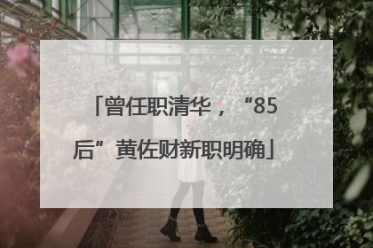 曾任职清华，“85后”黄佐财新职明确