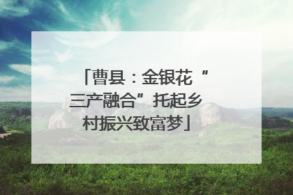 曹县：金银花“三产融合”托起乡村振兴致富梦