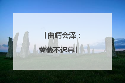 曲靖会泽:蔷薇不迟暮