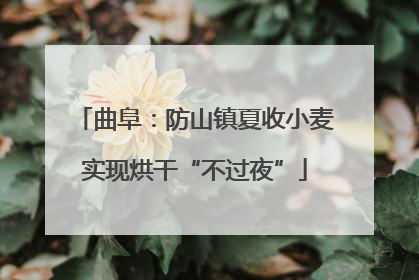 曲阜：防山镇夏收小麦实现烘干“不过夜”