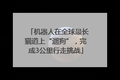 机器人在全球最长猫道上“遛狗”，完成3公里行走挑战