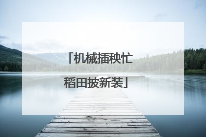 机械插秧忙 稻田披新装