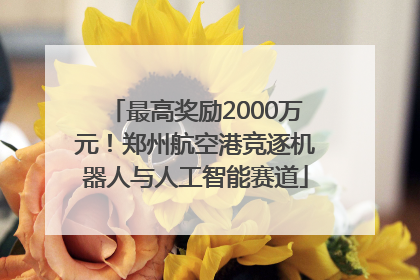 最高奖励2000万元！郑州航空港竞逐机器人与人工智能赛道