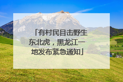 有村民目击野生东北虎，黑龙江一地发布紧急通知