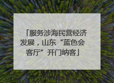 服务涉海民营经济发展，山东“蓝色会客厅”开门纳客