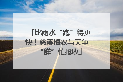 比雨水“跑”得更快！慈溪梅农与天争“鲜”忙抢收