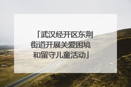 武汉经开区东荆街道开展关爱困境和留守儿童活动