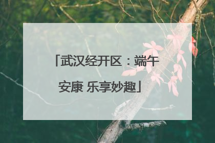 武汉经开区：端午安康 乐享妙趣