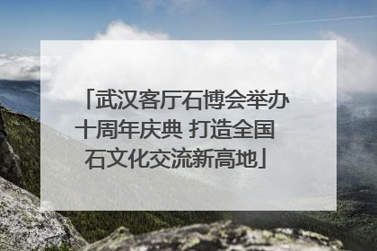 武汉客厅石博会举办十周年庆典 打造全国石文化交流新高地