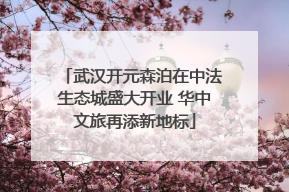 武汉开元森泊在中法生态城盛大开业 华中文旅再添新地标