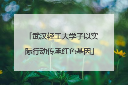 武汉轻工大学子以实际行动传承红色基因