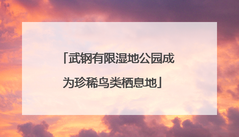 武钢有限湿地公园成为珍稀鸟类栖息地