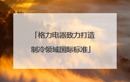 格力电器致力打造制冷领域国际标准