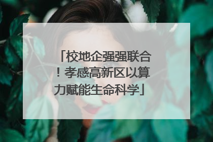 校地企强强联合！孝感高新区以算力赋能生命科学