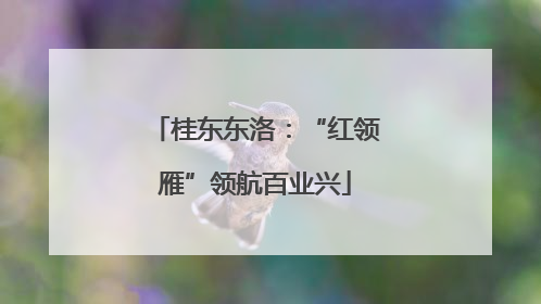 桂东东洛：“红领雁”领航百业兴