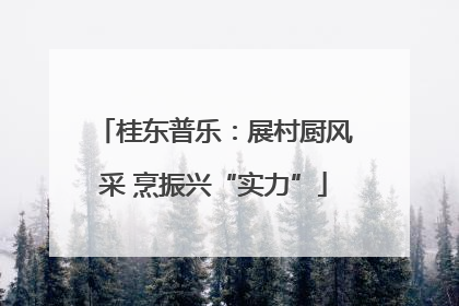 桂东普乐：展村厨风采 烹振兴“实力”