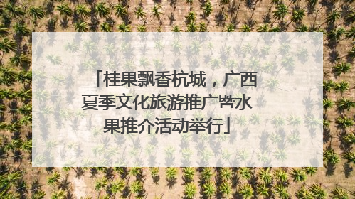 桂果飘香杭城，广西夏季文化旅游推广暨水果推介活动举行
