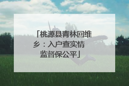 桃源县青林回维乡：入户查实情 监督保公平