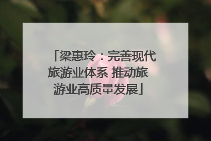 梁惠玲：完善现代旅游业体系 推动旅游业高质量发展