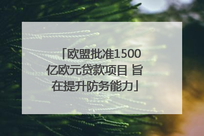 欧盟批准1500亿欧元贷款项目 旨在提升防务能力