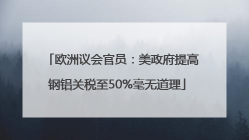 欧洲议会官员：美政府提高钢铝关税至50%毫无道理
