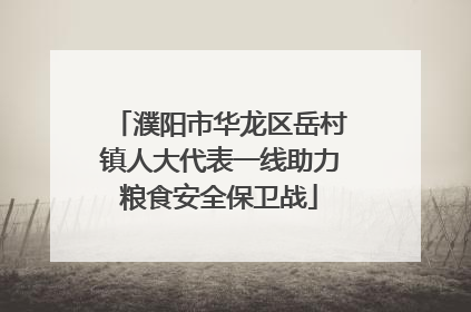 濮阳市华龙区岳村镇人大代表一线助力粮食安全保卫战