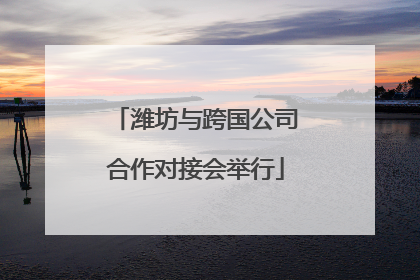 潍坊与跨国公司合作对接会举行