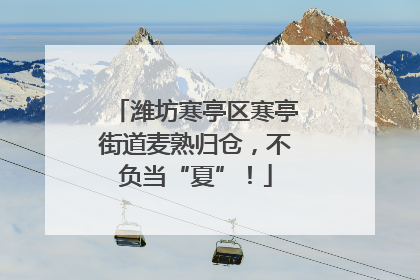 潍坊寒亭区寒亭街道麦熟归仓，不负当“夏”！