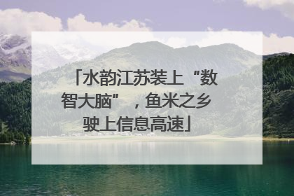 水韵江苏装上“数智大脑”，鱼米之乡驶上信息高速