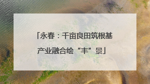 永春：千亩良田筑根基 产业融合绘“丰”景