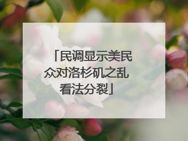 民调显示美民众对洛杉矶之乱看法分裂