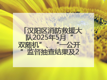 汉阳区消防救援大队2025年5月“双随机”、“一公开”监督抽查结果及2025年6月监督抽查任务公示
