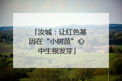 汝城：让红色基因在“小树苗”心中生根发芽