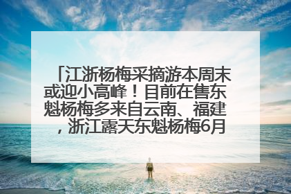 江浙杨梅采摘游本周末或迎小高峰！目前在售东魁杨梅多来自云南、福建，浙江露天东魁杨梅6月中旬大量上市