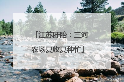 江苏盱眙：三河农场夏收夏种忙