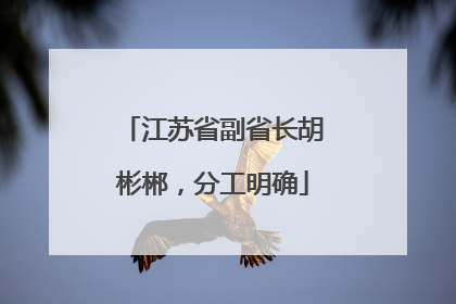 江苏省副省长胡彬郴，分工明确