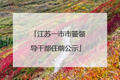 江苏一市市管领导干部任前公示