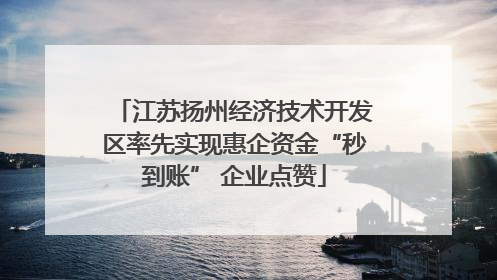 江苏扬州经济技术开发区率先实现惠企资金“秒到账” 企业点赞