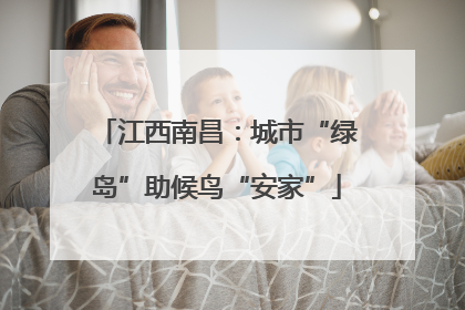 江西南昌：城市“绿岛”助候鸟“安家”