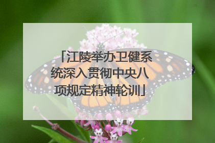 江陵举办卫健系统深入贯彻中央八项规定精神轮训