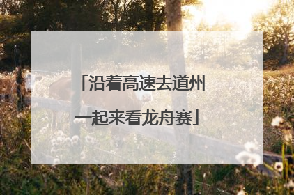 沿着高速去道州 一起来看龙舟赛
