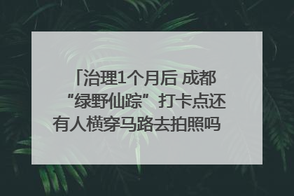 治理1个月后 成都“绿野仙踪”打卡点还有人横穿马路去拍照吗？｜民情瞭望