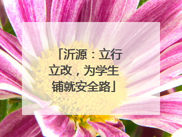 沂源：立行立改，为学生铺就安全路