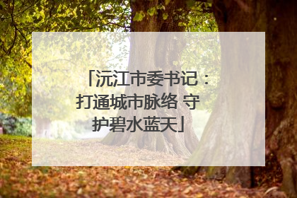 沅江市委书记：打通城市脉络 守护碧水蓝天