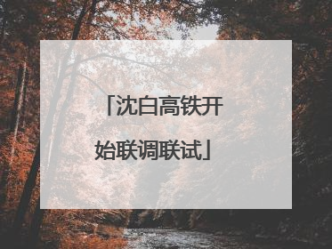沈白高铁开始联调联试