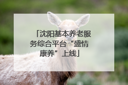 沈阳基本养老服务综合平台“盛情康养”上线