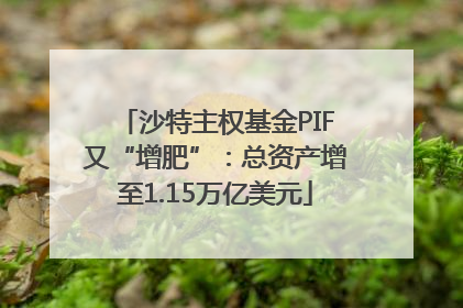 沙特主权基金PIF又“增肥”：总资产增至1.15万亿美元
